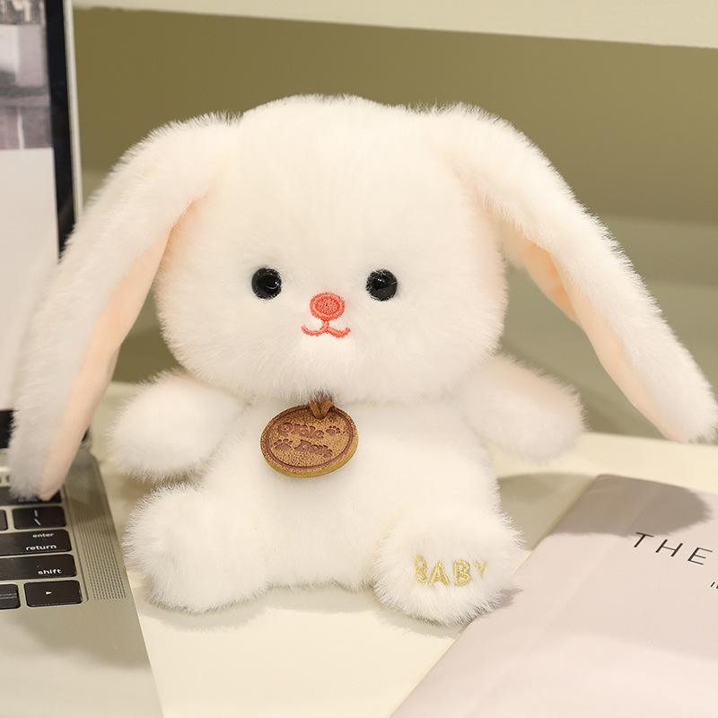 Xiang Dundun Happy Land Raccoon Plush Doll - Cute Trendy Desktop Companion