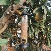 Hanging Birds Feeder Squirrel-proof Birdfeeder Outdoor Birdseed Dispenser Attracts Blue Tits Finches for Garden Wild Birds