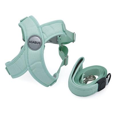Sniff Pet Agabo Harness Leash SET, Mint Green