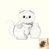 Cute Pet Fur Storage Refrigerator Magnet Transparent Acrylic Pet Cat Fur And Whiskers Memory Capsule Refrigerator