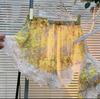 Nouveau pyjama sexy pour femme, ensemble d'intérieur d'été avec coussinets de poitrine, robe jaune florale sexy, bourgeons respirants