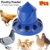 1Pcs 11 Holes Chicken Automatic Feeder Plastic Bird Feeding Bucket  for Chicken Pigeon Budgies