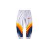 Li Ning Sports Pants Men's Standard White Moderate AKLP789-2
