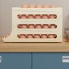 Shelves for Eggs Refrigerator, 4 Levels, and a Dispenser of Eggs  Organizer Egg the Refrigerator Rolling Machine for Kitchen