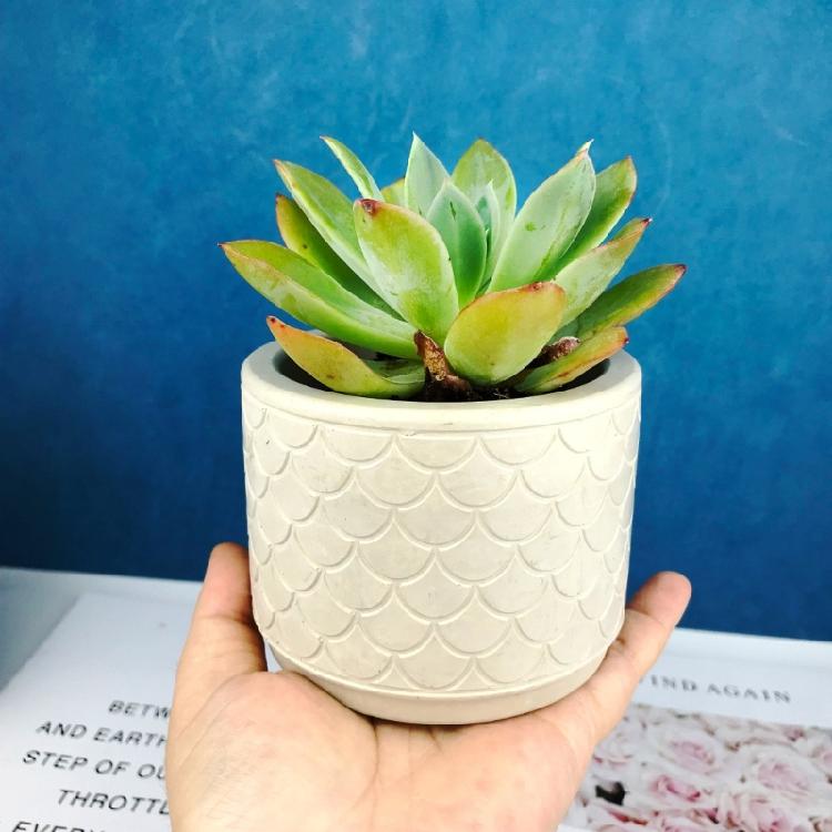 Flower Pot Silicone Mold Concrete Cement Plant Pot Mold Flowerpot Epoxy Resin Mould Makeup Brush Holder Organizer Mold