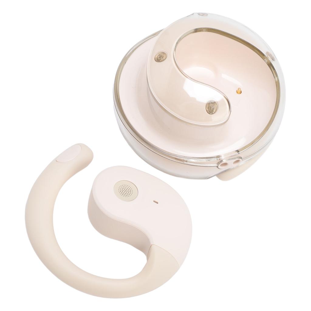 AI Language Translation Earbuds 80 Languages 14 Accents Real Time Translator Device Noise Cancelling