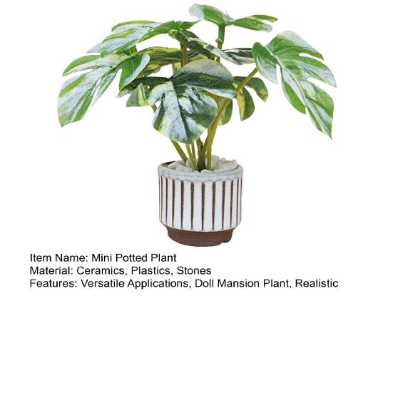 Mini Květináčová Monstera Panenka Sídlo Rostlina 0,0458333333333333 Měřítko Miniaturní Rostlina Monstera