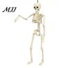 Compact Halloween Figurines for Tables Realistic Skeleton Figure, 40cm Posable Joints Hanging Skull Decoration, Lightweight Props Indoor Displays