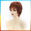 2025 Fashion Short Straight Wig For Women HW2358