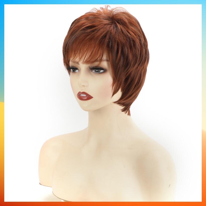 2025 Fashion Short Straight Wig For Women HW2358
