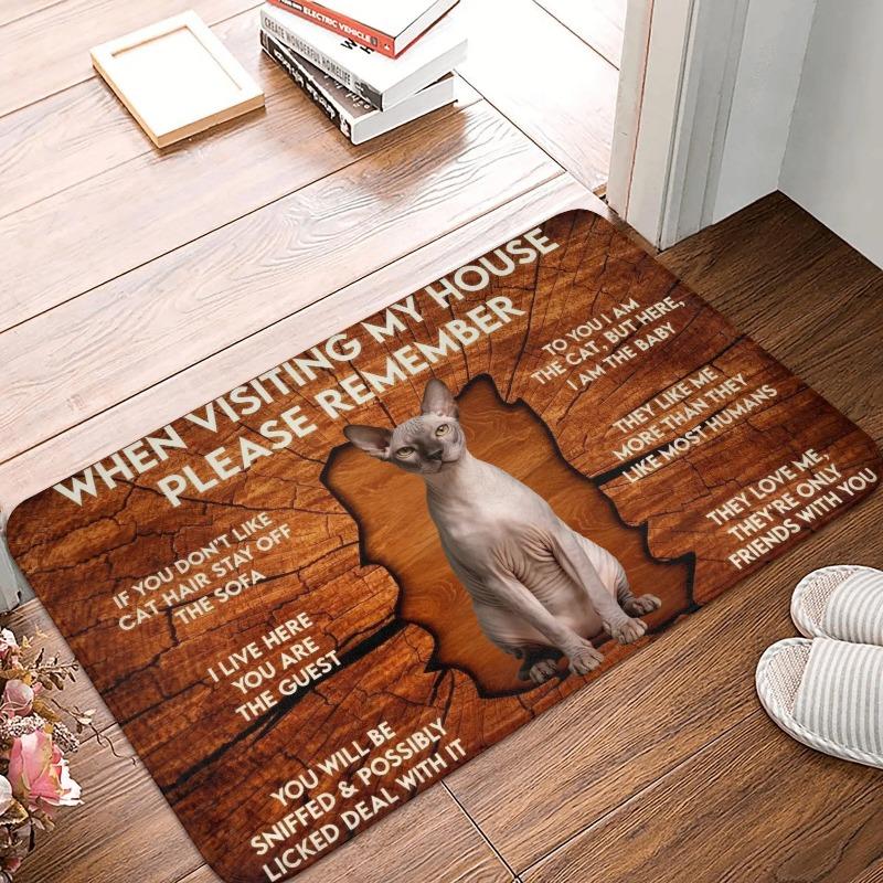 Corgi Themed Funny House Rules Living Room Door Mat Carpet Wood Texture Cute Corgi Pattern Humorous Visitor Notice Home Decor