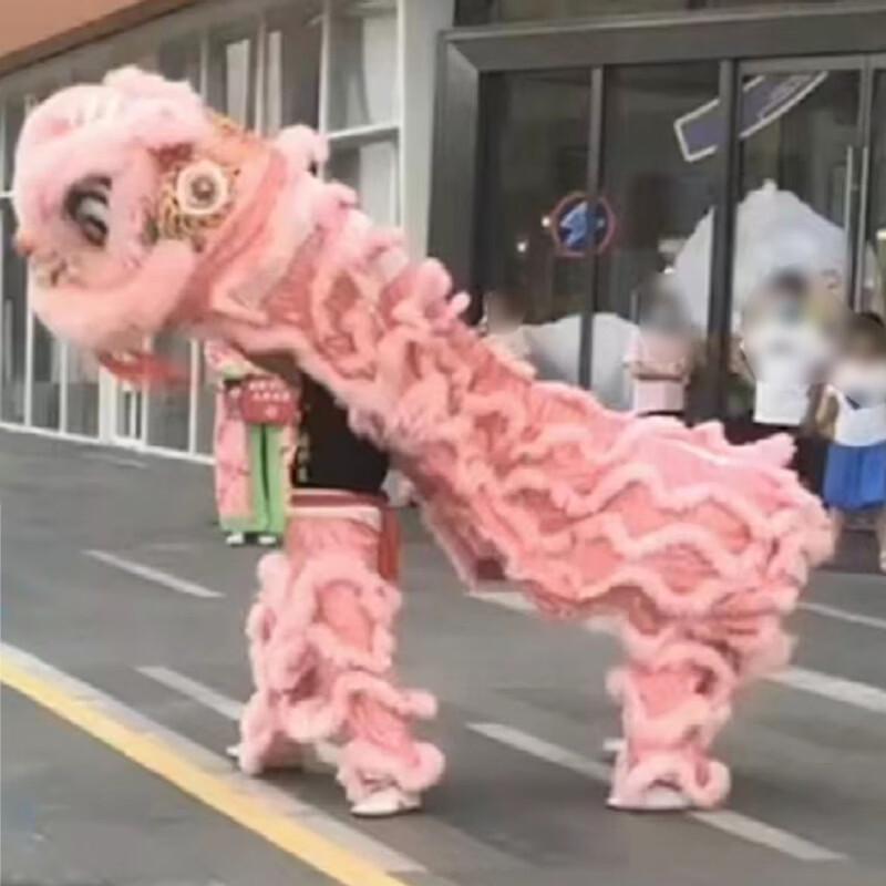 Xunsen Southern Lion Dance Full Set