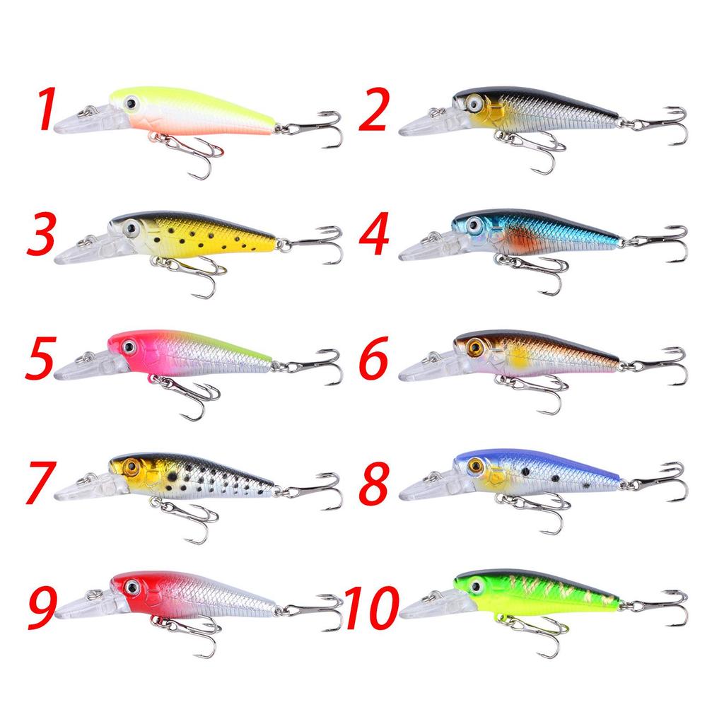 5.5cm Minnow Lure for Sea Bass, Realistic Hard Bait, 3.5g