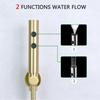 Bidet Sprayer Brushed Gold Bathroom Clean Toilet 2 Functions Water Flow Brass Body Stainless Steel/PVC Hose