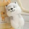 Cute Puppy Dog Pendant Plush Toy Doll Pomeranian Husky Doll Girl Bag Keychain Small Pendant