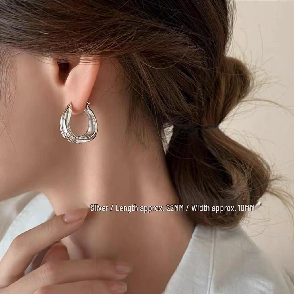 925 Sterling Silver Hoop Earrings: 2023 Women's Light Luxury Studs with High-End Feel