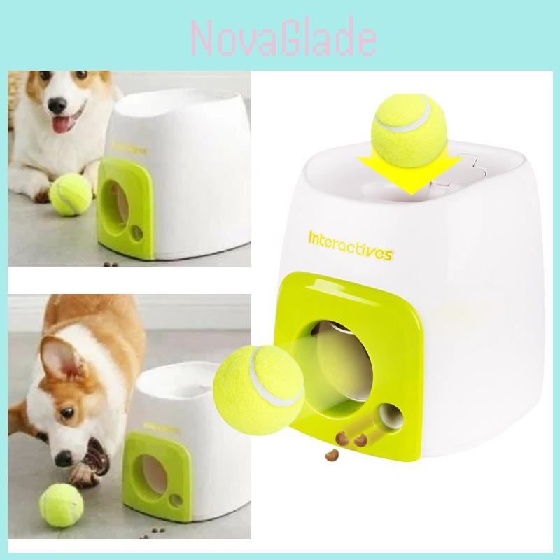 Educational Tennis Ball Hyper Game Training Machine For Active Dogs
