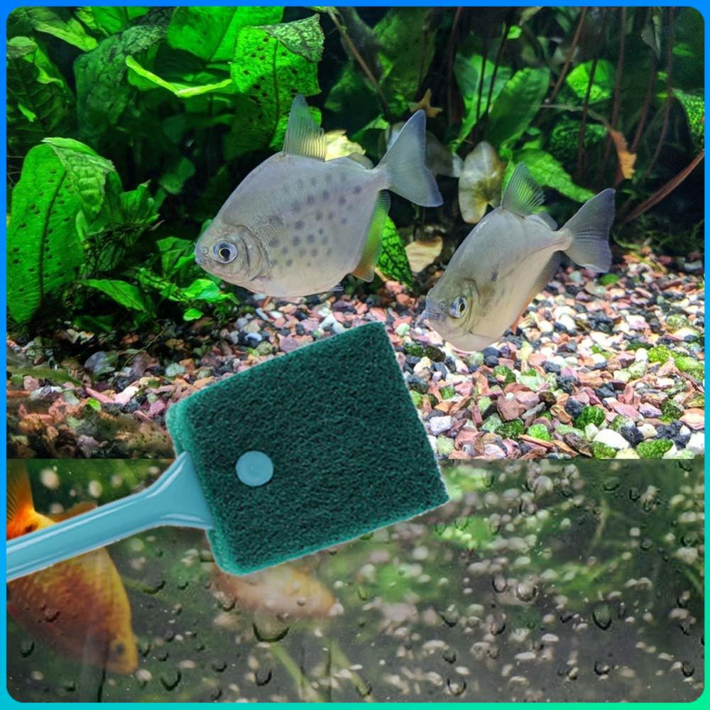 Double-sided Aquarium Algae Scrubber Long Handle Aquarium Cleaning Brush Multifunction 15.6 In Aquarium Accessories