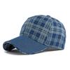 Frühlings-Karomuster Denim Baseballkappe