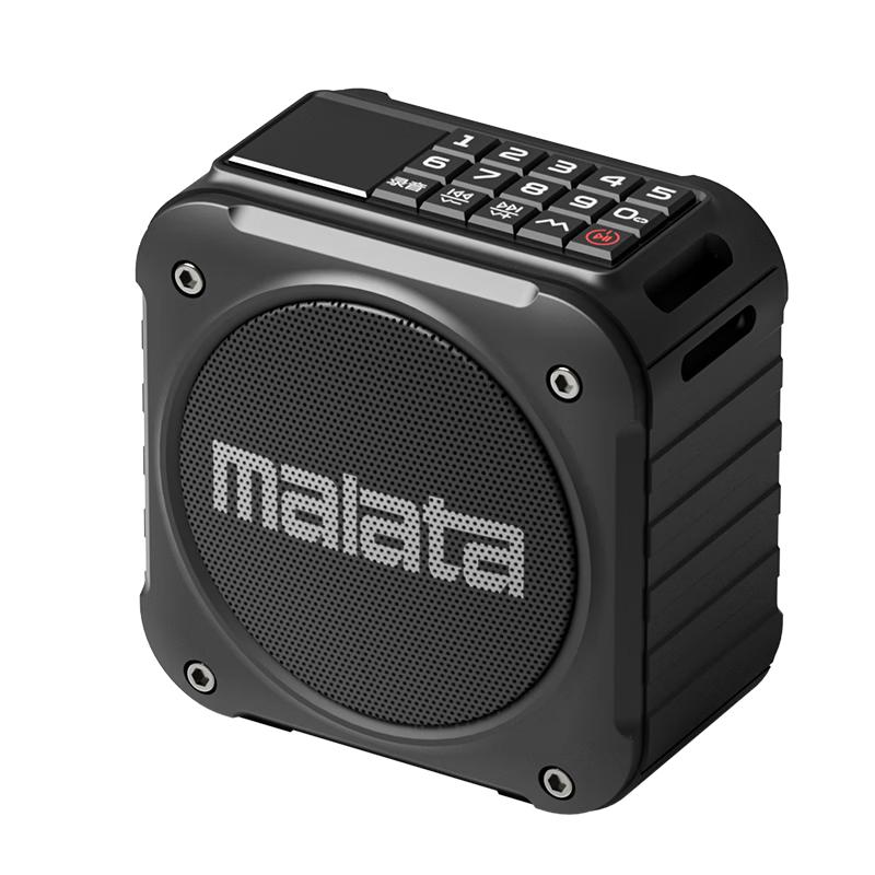 

Malata Portable Bluetooth Radio Speaker