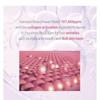MIGUHARA - Rose Collagen Intensive Eye Gel Serum