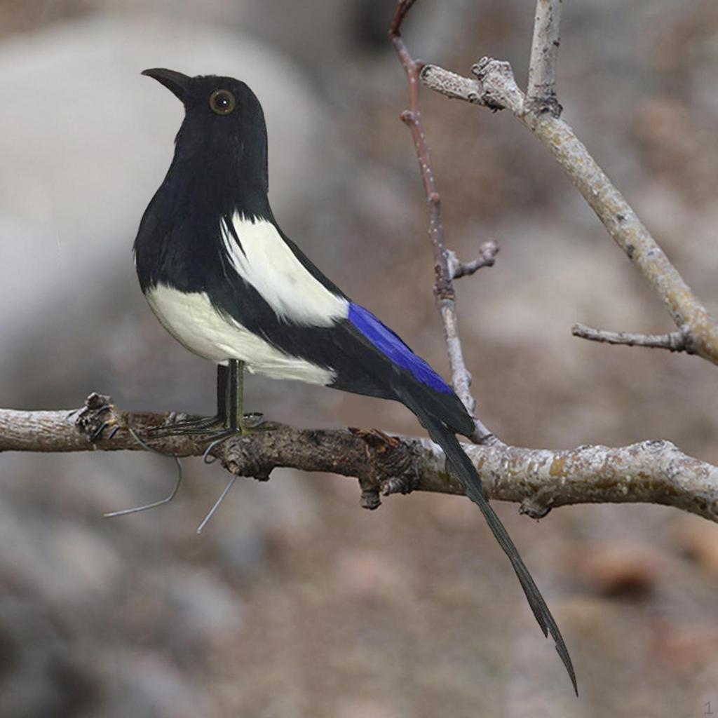 - Simulation Birds, Feathered Bird Models, Crafts, Figurines, Statues, Garden Decorations, for