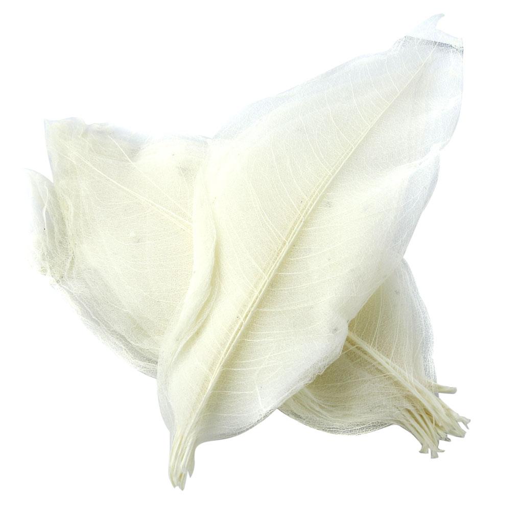 Pack of 50 Skeleton Leaves Scrapbooking Craft DIY Wedding Invitation White