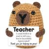 Handmade Knitted Positive Energy Capybara Dolls With Card Funny Crochet Emotional Support Animal Capybara Desktop Ornament Gifts