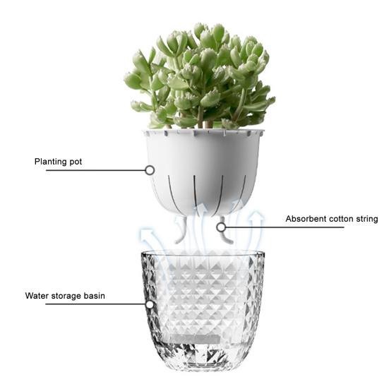 Yousheng Self Watering Flowerpot Visible Double Layer Planter with Wick Rope Self Watering Plant Pot for Indoor Plants Orchids Herbs