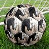 1pc Horse Affection Fantasy Theme Soccer Ball Football, Size 5, Lightweight PVC, Durable Outdoor Training Soccer Ball, Gift M61447