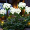 Solar LED Hydrangea Garden Light - Outdoor Decorative Lawn and Courtyard Lighting