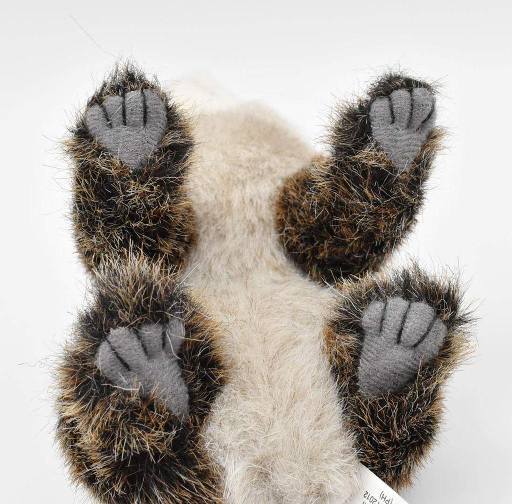 BH2649 HANSA Raccoon 23