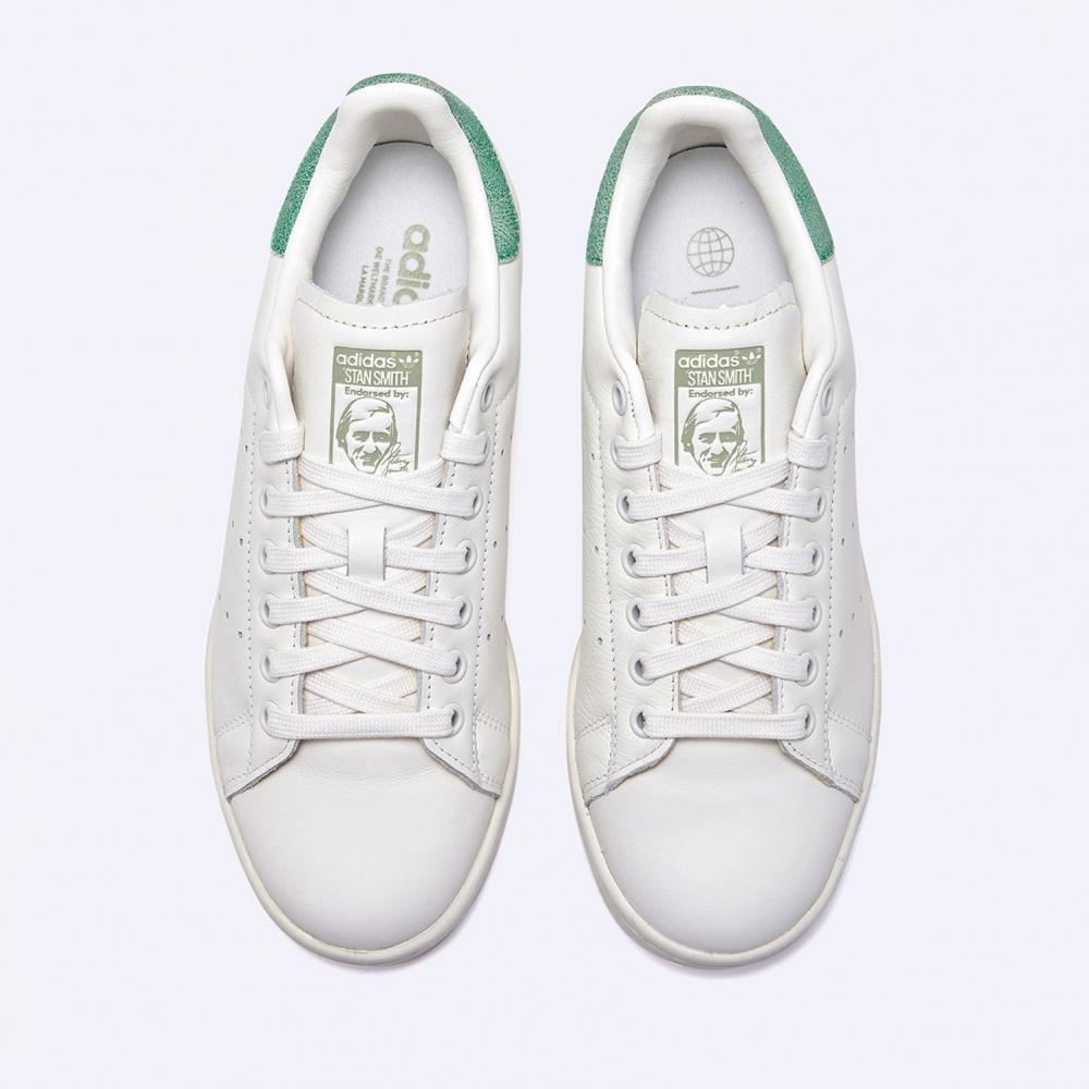 Пизда тірі жаратылыстардың барлық түрлері