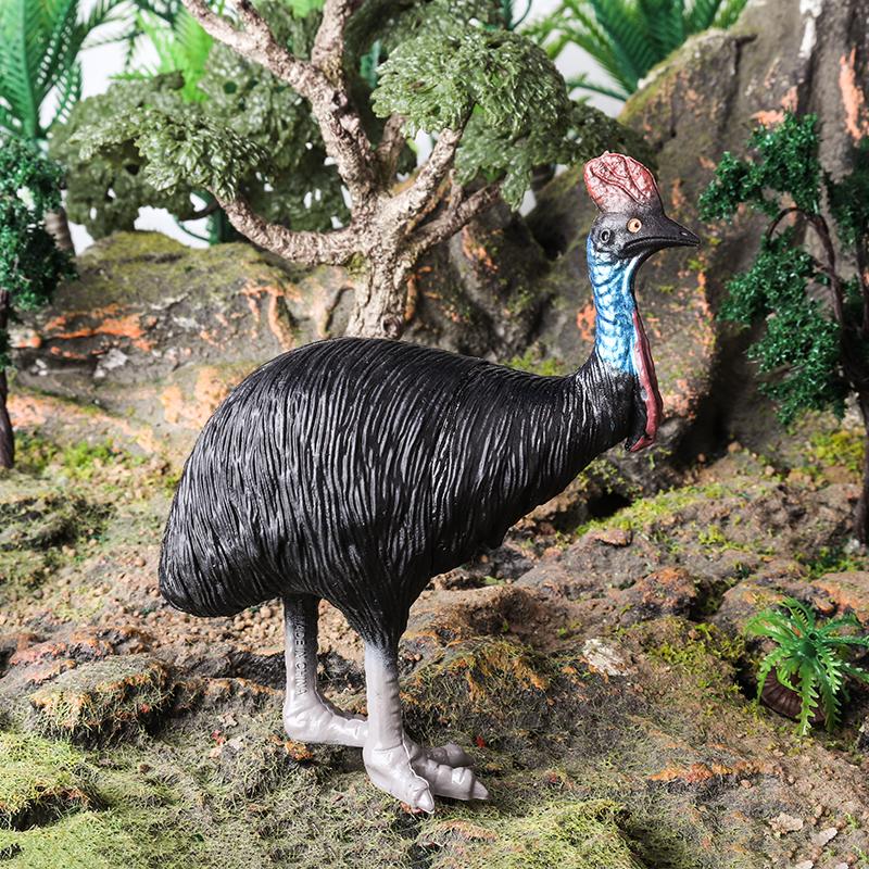 Oenux 6pcs Classic Australian Africa Wild Animals Kangaroos Koala Cassowary Hyena Warthog Model Action Figure Figurine Toy Kid