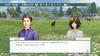 Winning Post 8 2017 Switch -