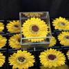 Sunflower Necklace & Acrylic Soap Flower Jewelry Box - Perfect for Mother's Day & Valentine's Day