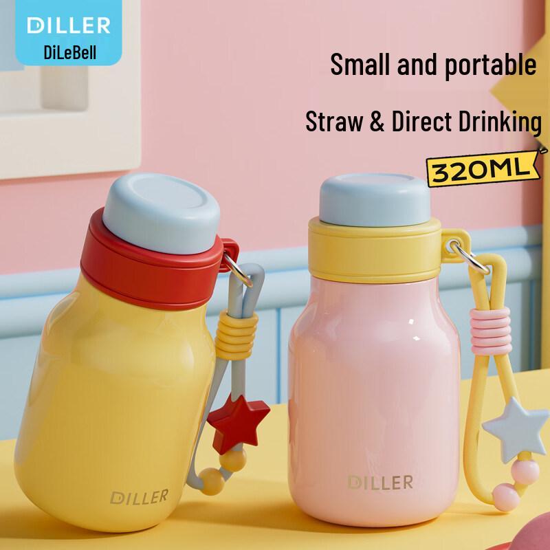 Diller 316 Stainless Steel Insulated Bottle