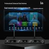 SAST True U-Band Wireless Microphone System CN plug (adapter included)