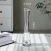 Transparent Slim Glass Vase for Living Room Decoration