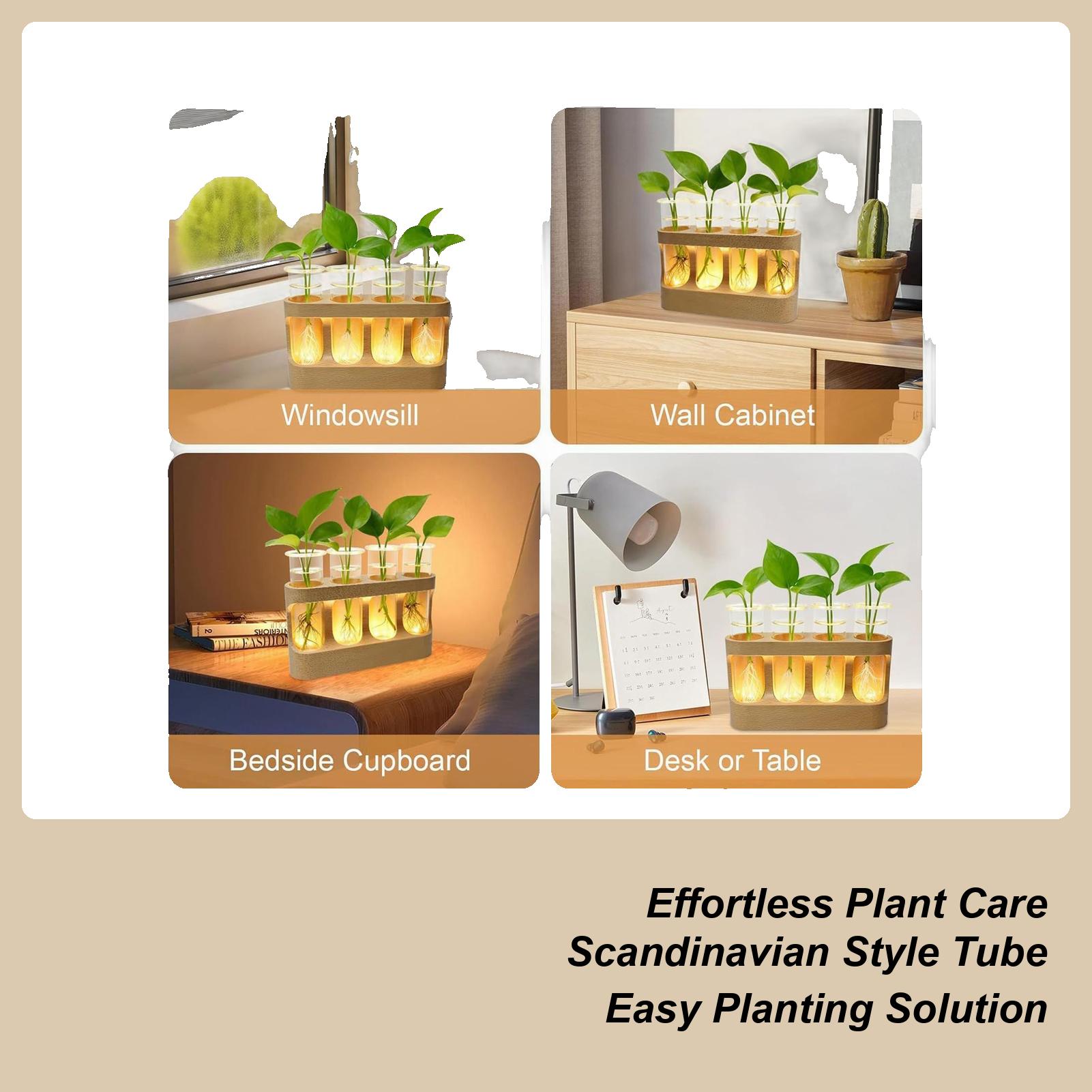 

Propagation Tube For Plants Decorative Hydroponic Terrarium Glass Planter Vase For Hydroponic Plants For Men Women Youth Teens China Mainland