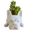 Vadktai Resin Dog  Planter,  Puppy Plant Planter, French Shape Cute Bonsai Flower Pots For Home Garden  Desktop Decor (No Plants)