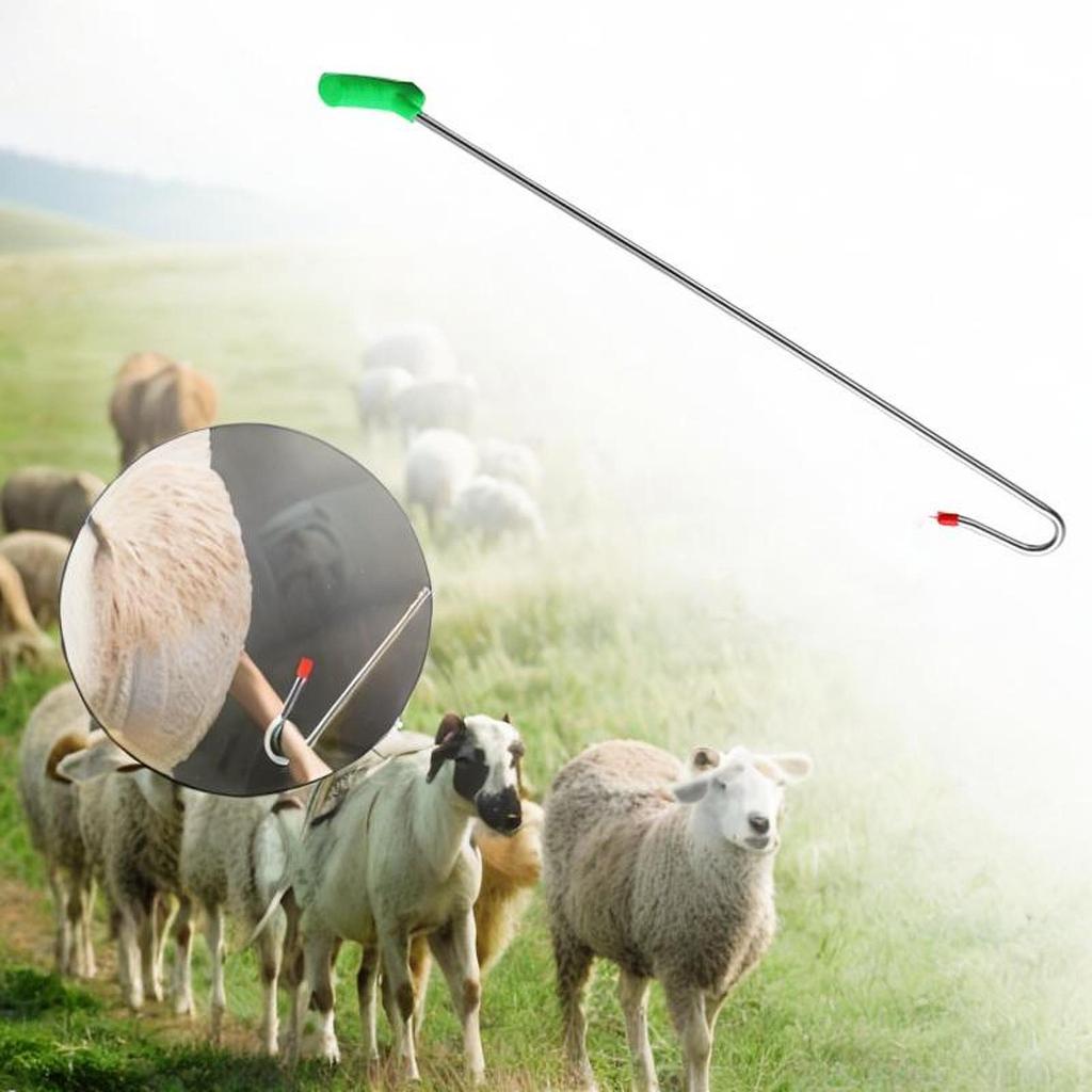 Sheep Catching Tool Portable Cable Catching Sheep Captures Device Sheep Catcher Stick Pole for Livestock Farm Animals Garden