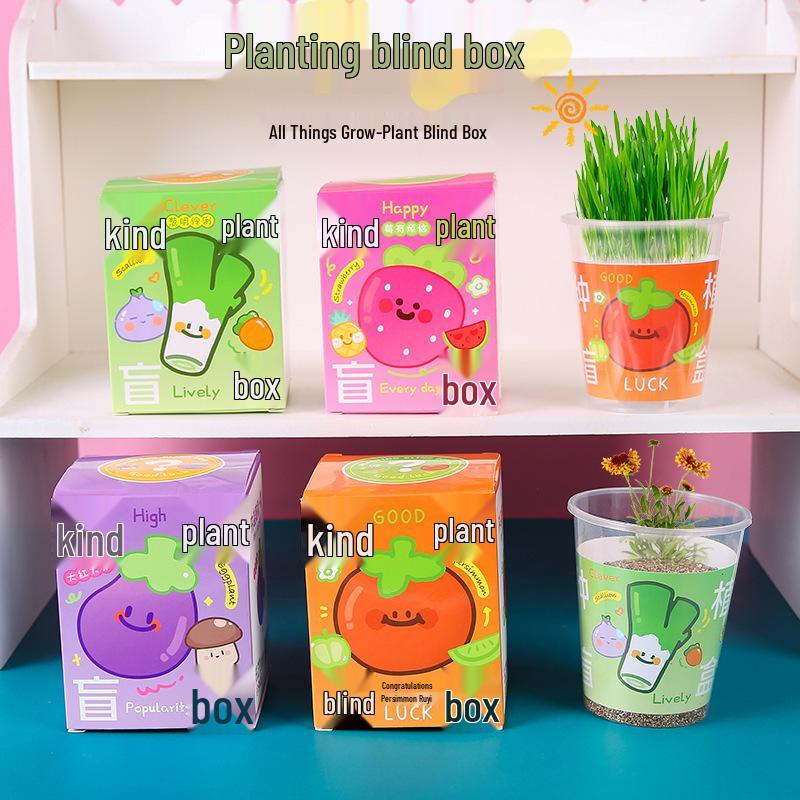 Kids' Mini Plant Observation Box: Small Potted Plants with Seeds for Kindergarten and Primary School Students
