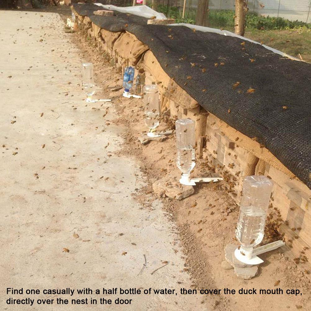 5 PCS Beekeeping Entry Feeder Cap Feeder Beekeeper Equip Beekeeping Hive Tool