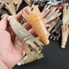 Scalp Massager Brush Ox Horn Massage Comb Scrapping Head Buffalo Horn Meridian Comb  Hair Wash