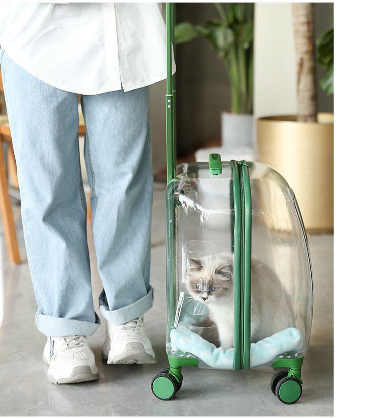 Transparent Pet Travel Suitcase & Stroller - Double-Layer, Airline-Approved for Cats & Dogs.