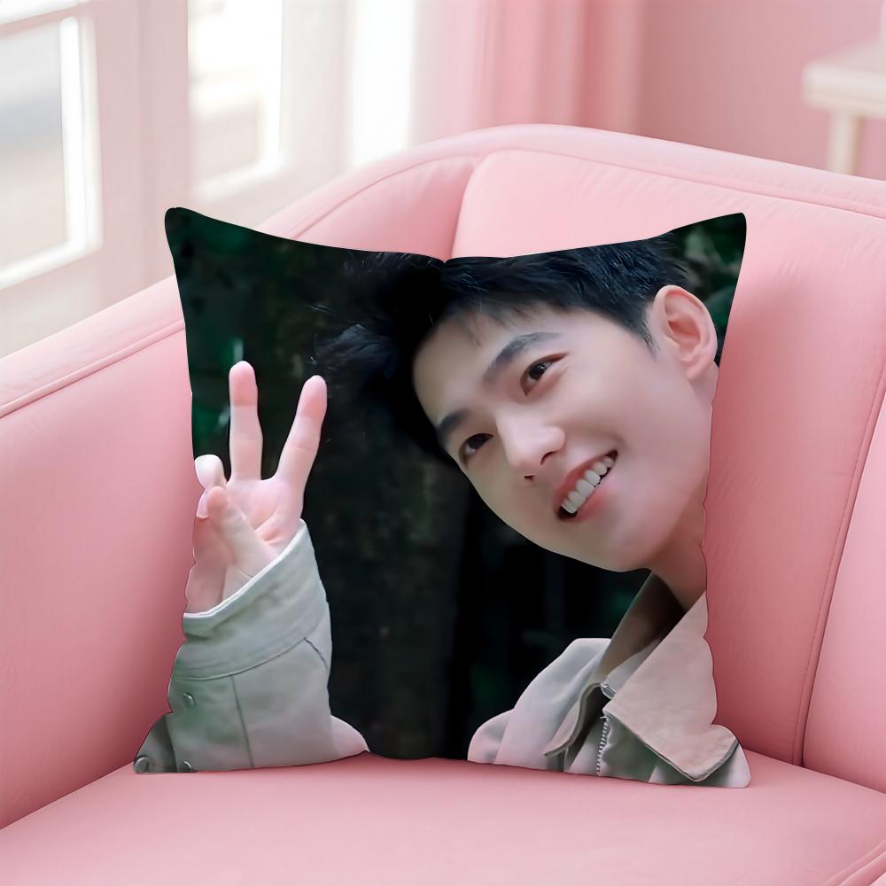 actor handsome YYang Yang Cushion Cover Pillow Case Soft Skin Friendly Fabric  Concealed Zipper