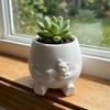 3D Printed Hugging Cat Succulent Planter Pot Happy Expression Novelty Shy Cover Eyes Character Plant Pot Plastic Lifelike