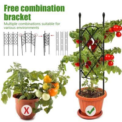 Garden Plant Trellis Frame Sturdy Plant Support Stakes Outdoor Multifunctional DIY Garden Trellis for Climbing Plants Decorative