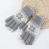 Autumn and Winter Woolen Thickened Inner Brushed Jacquard Knitted Touch Screen Warm Korean Style Velvet Student Cycling Gloves